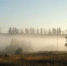 Сентябрь 2010 года. Пруд Беленький. Туман. - Maloarhangelsk.Ru